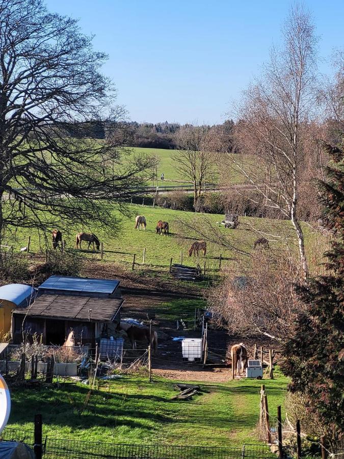Ferienwohnung Classen Eifel Schleiden Exterior photo